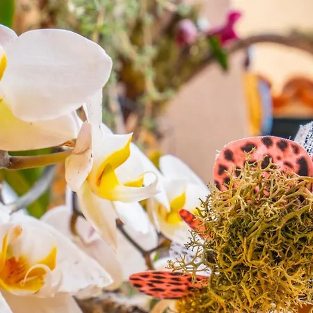 Ke Casetta Tenerife Salvador And Santiago * Las Rosas (Arona, Tenerife)